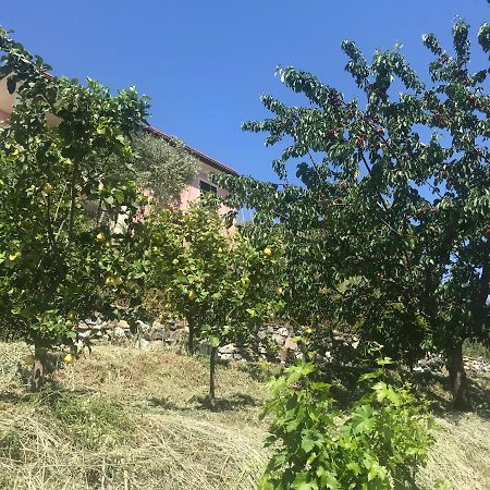 Villa Teresa Casarza Ligure Eksteriør billede