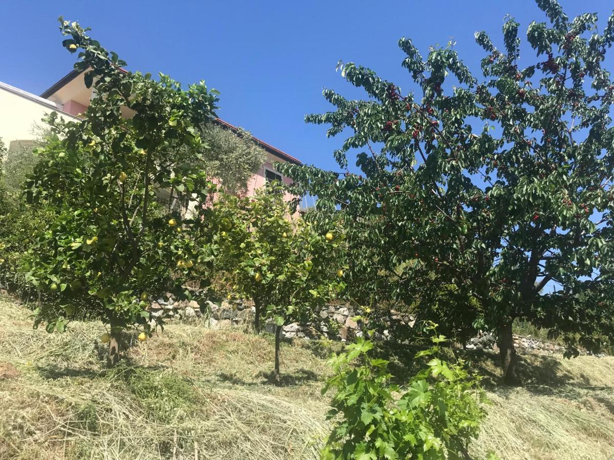 Villa Teresa Casarza Ligure Eksteriør billede
