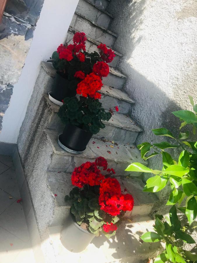 Villa Teresa Casarza Ligure Eksteriør billede