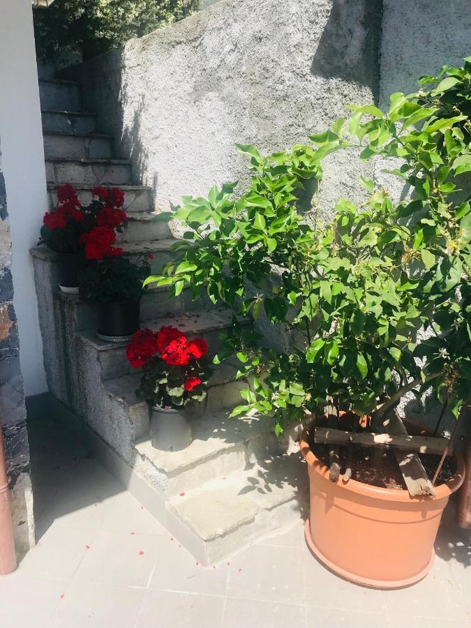 Villa Teresa Casarza Ligure Eksteriør billede